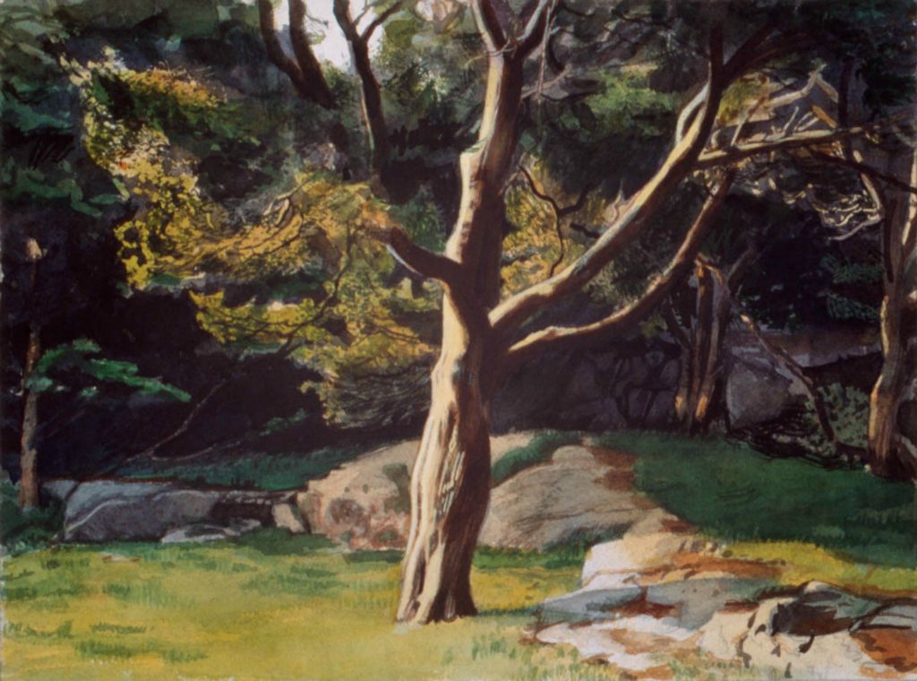 2001, 11 ¾ x 15 ¾ in. (Collection: R. Weis)