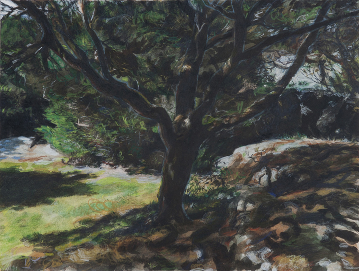 2013, watercolor and colored pencil, 9 x 12 in.