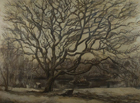 Tree and Pond, 1992, oil on canvas, 72 x 95 ½ in.