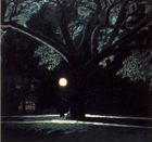 Black Tree, 1986, oil on canvas, 44 ½  x 46 in., collection: Bill Robinson