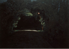 Neck Road, 1990, oil on canvas, 42 x 59 in., collection: Private