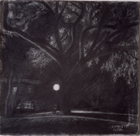 Study for Black Tree, 1986, graphite on paper, 7 ¼ x 7 ½