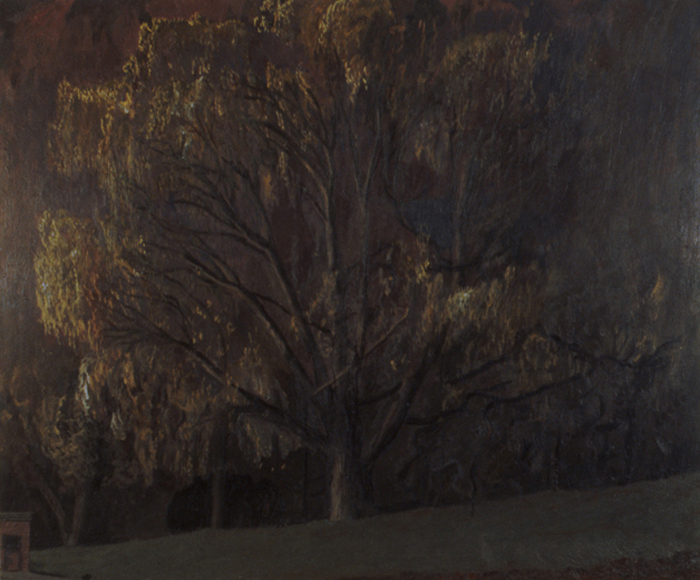 Willow #3, 1991, oil on canvas, 62 x 73 in.