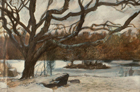 Tree by the Pond, 1992, watercolor and gouache, 16 ½ x 24 in.