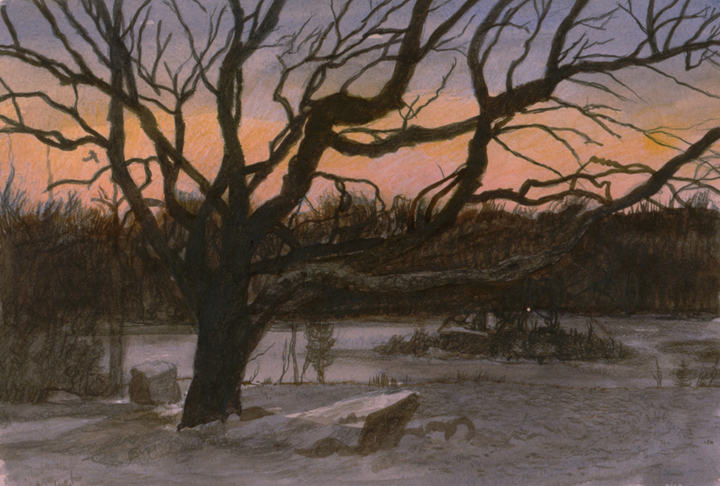 Tree and Pond (Sunset), 1992, watercolor and colored pencil, 9 x 14 in., collection: Bettie L. Nelson
