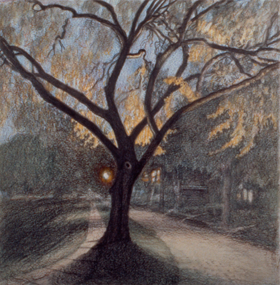 Elm at Dusk (Study), 1994, watercolor and colored pencil, 11 x 10 ½ in., collection: Shawn K. Butler