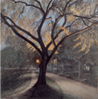 Elm at Dusk (Study), 1994, watercolor and colored pencil, 11 x 10 ½ in., collection: Shawn K. Butler