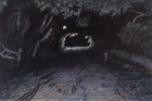 Near Nonquit Pond, 1993, gouache and colored pencil, 6 ½ x 9 ½ in. 