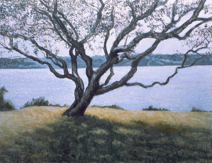 Tiverton, 1994, oil on canvas, 35 x 45 in., collection: Streeter Holden