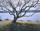 Tiverton, 1994, oil on canvas, 35 x 45 in., collection: Streeter Holden