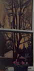 Livingroom Window, 2001, oil on canvas, 56 x 27 in., collection: William F. Cornell