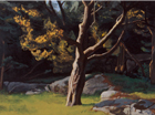 Juniper Tree – Late Afternoon, 2001, oil on canvas, 52 ½ x 69 ½ in.  