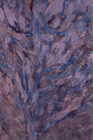 Burning Bush, 1971, oil on paint rag, 19 x 12 ½ in.