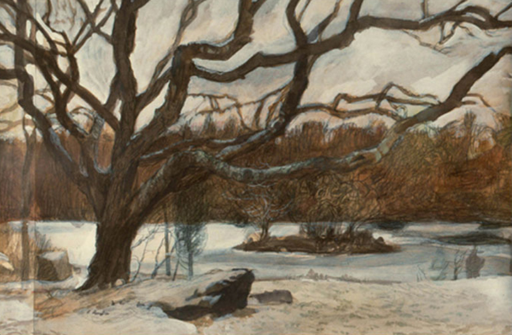 Tree by the Pond, 1992, watercolor, gouache and colored pencil, 16 ½  x 24 in.
