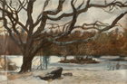 Tree by the Pond, 1992, watercolor, gouache and colored pencil, 16 ½  x 24 in.
